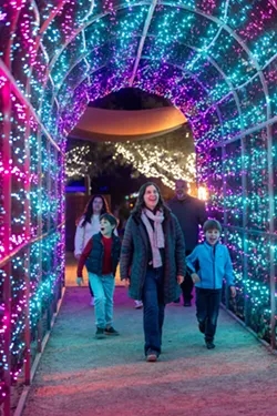  
      
        An Electric Xmas: Tucson Botanical Gardens sparkles this season
      
     