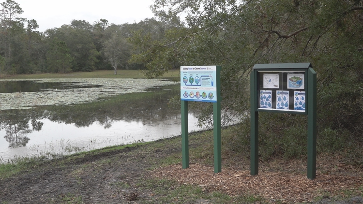  Tampa Bay Water giving away $50K in 'mini-grants' for water conservation efforts 