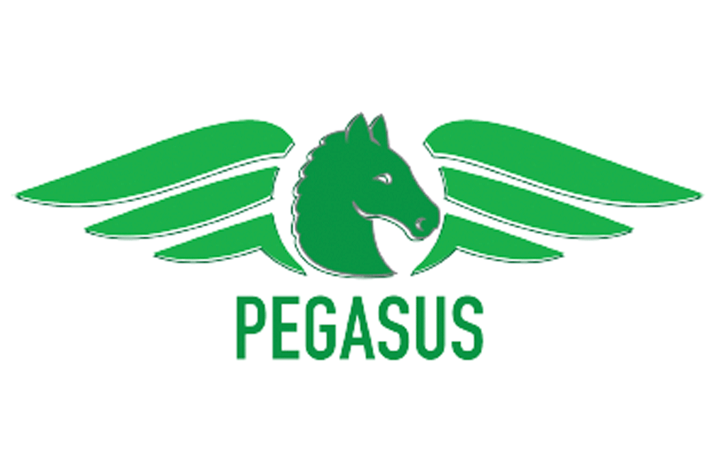  Pegasus Specialty Vehicles Announces First Dealer Signed 