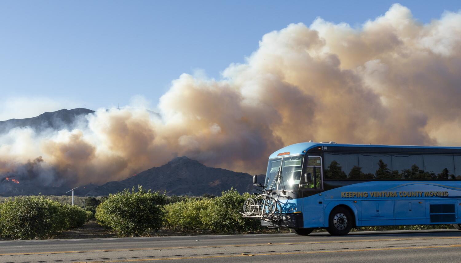   
																Opinion: Wildfire smoke is polluting California and beyond. Here's how to protect yourself 
															 