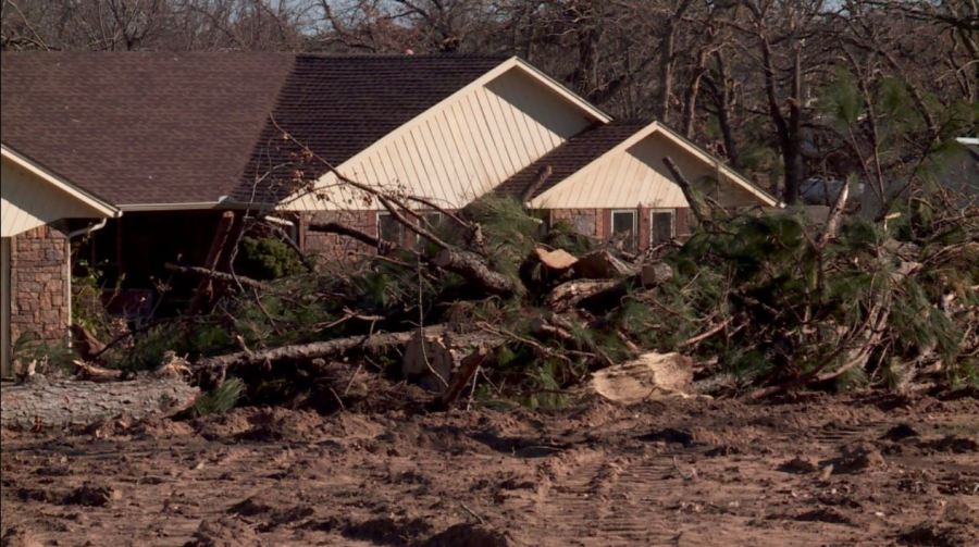  Arborists raise money to replace tree canopy lost during November tornado 