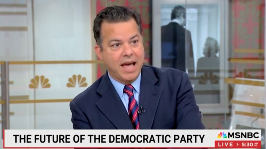  Ex-CNN anchor who ran for Congress says Democrats have become 'party of the status quo' 