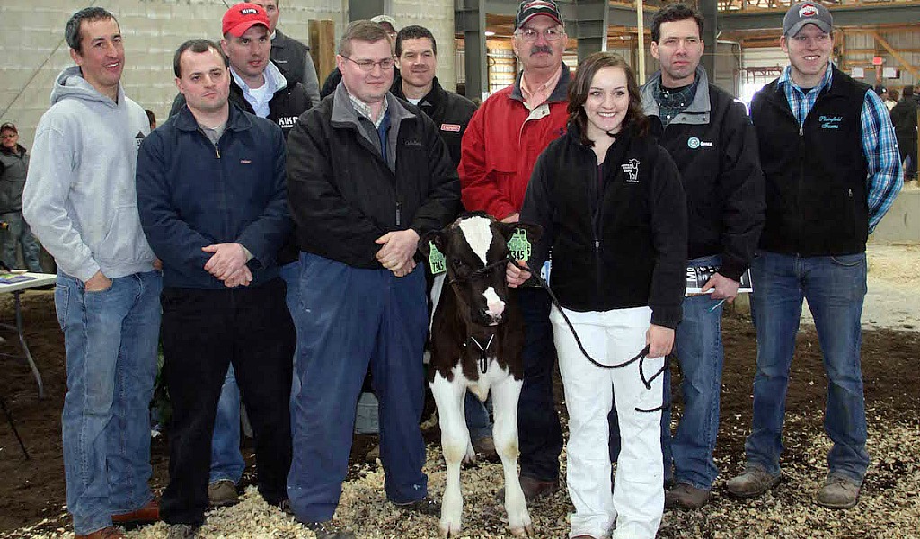  Ohio calf brings $32,000 at Holstein sale 