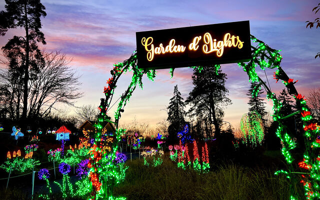  Garden d'Lights illuminates holidays with half million lights 