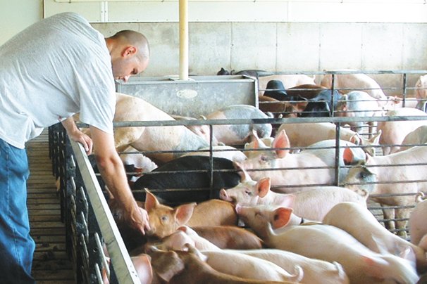  Ohio Pork Congress moves to Lima for 2022 – Ohio Ag Net 