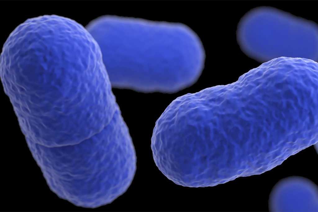  Listeria outbreak tied to Yu Shang Food leaves California infant dead and 10 people sick 