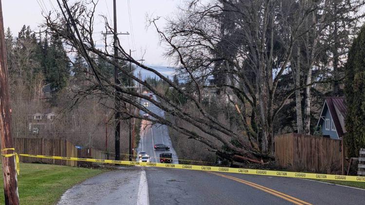  Power restored to majority of Puget Sound Energy customers days after bomb cyclone 