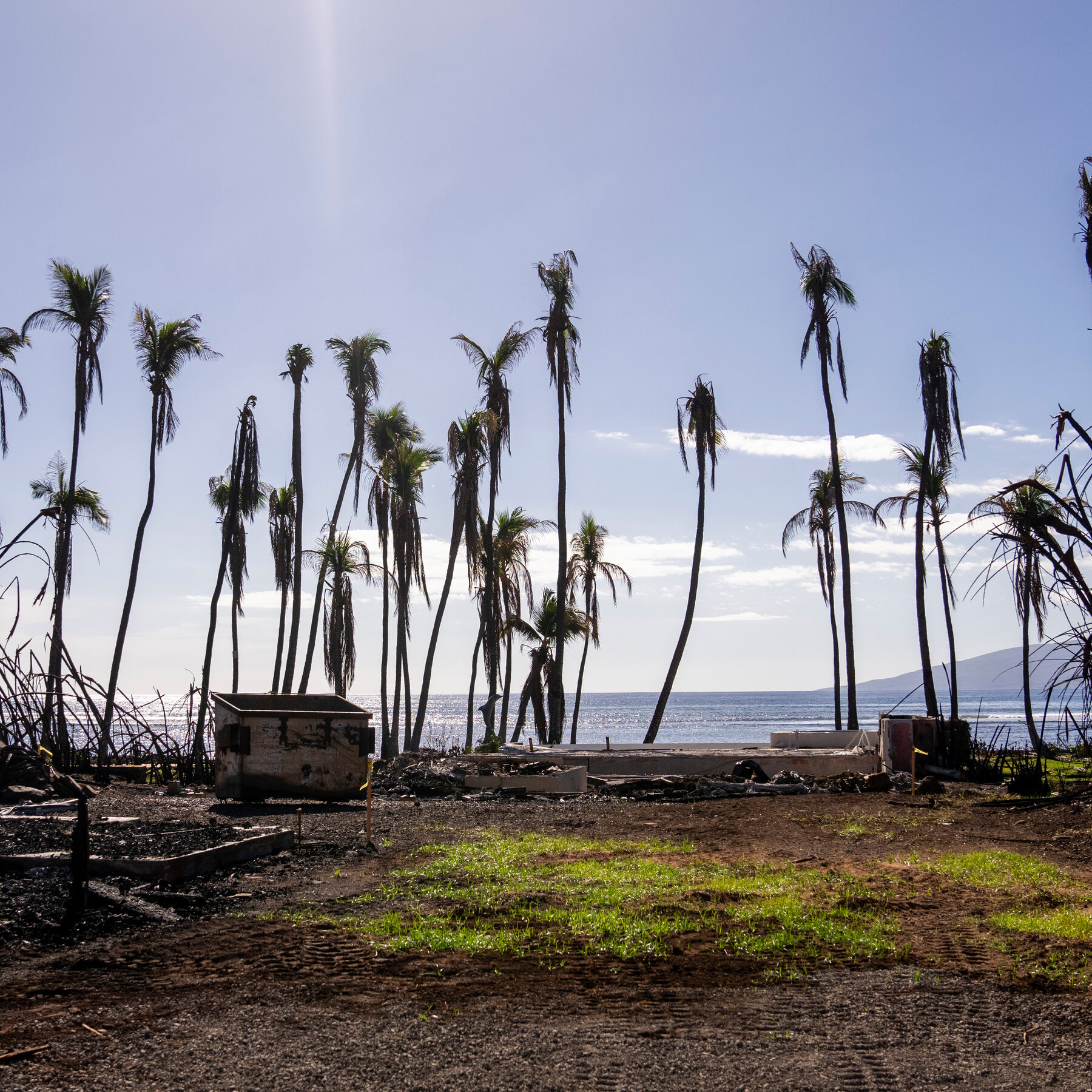  A Beloved Tournament Brings Normalcy to Maui, but It’s Complicated 