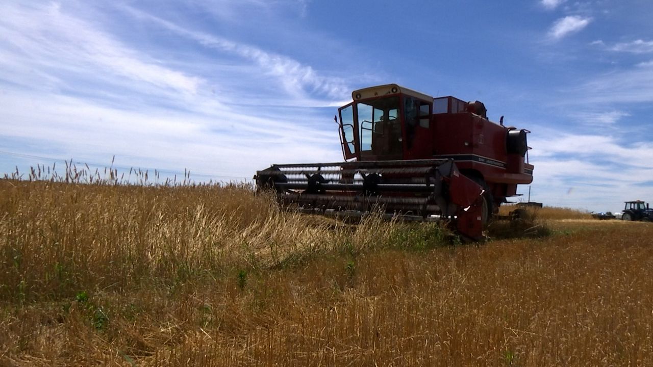  Ohio farmer goes back to basics to keep his farm sustainable 