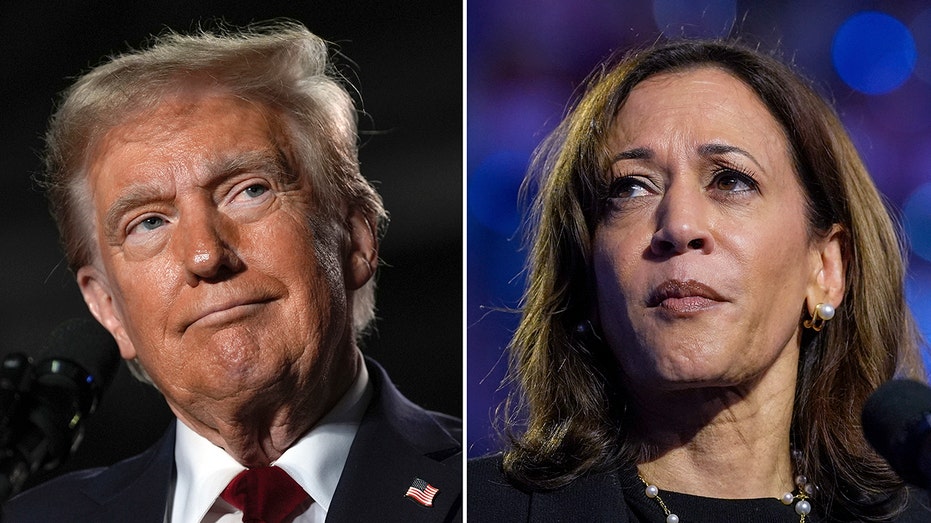  Kamala Harris campaign aide admits she never surpassed Trump in internal polls 