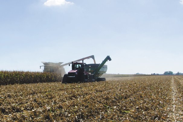   
																Harvest considerations for corn – Ohio Ag Net 
															 