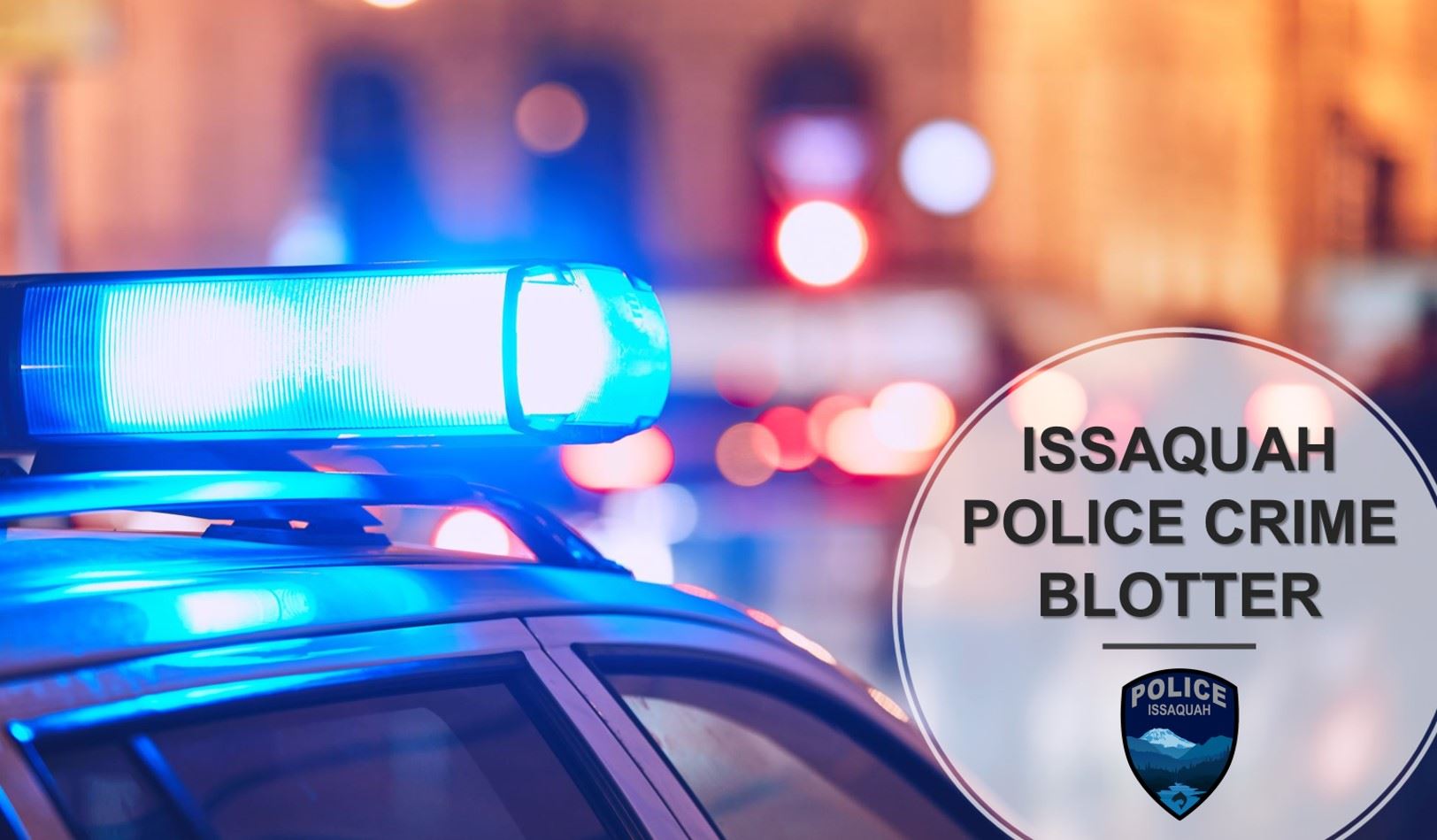  Accidents and Shoplifting in Issaquah 