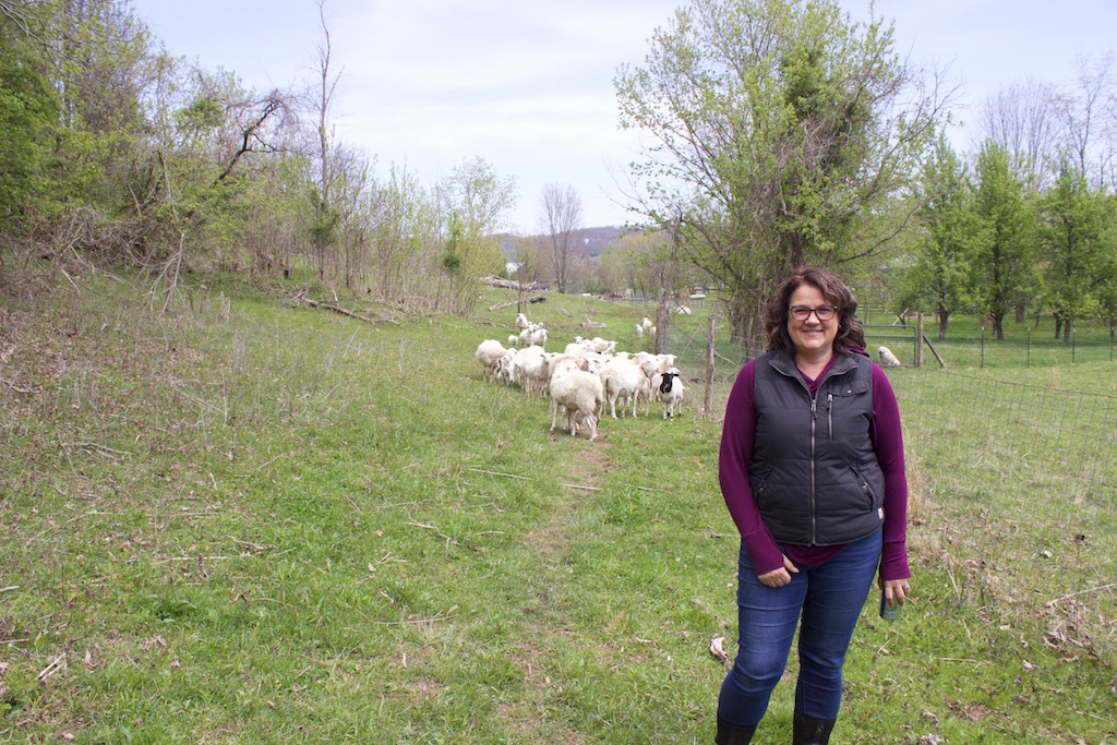  Criswell aims to improve St. Croix sheep breed, flock at Melwood Farm 