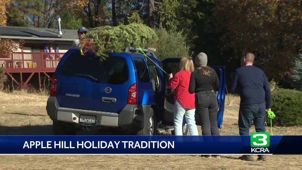  For many families, cutting down an Apple Hill Christmas Tree is a deeply rooted tradition  