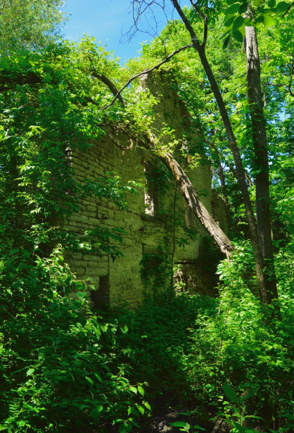  Kelleys Island Winery Ruins – Kelleys Island, Ohio 