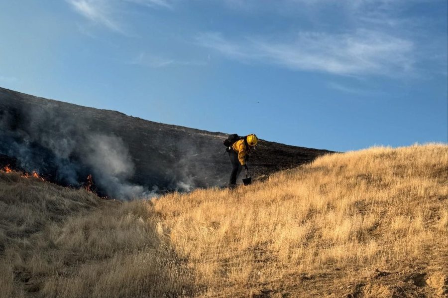  Firefighters battle 74-acre fire near Mendota 