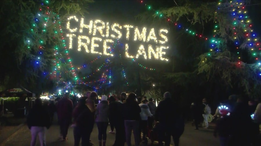  When is Fresno's Christmas Tree Lane's 'Walk-Only Nights'? 