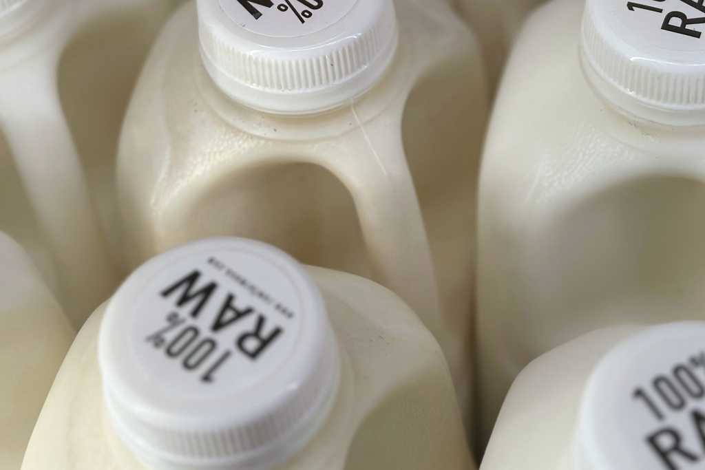  Bird flu virus was found in raw milk. What to know about the risks 