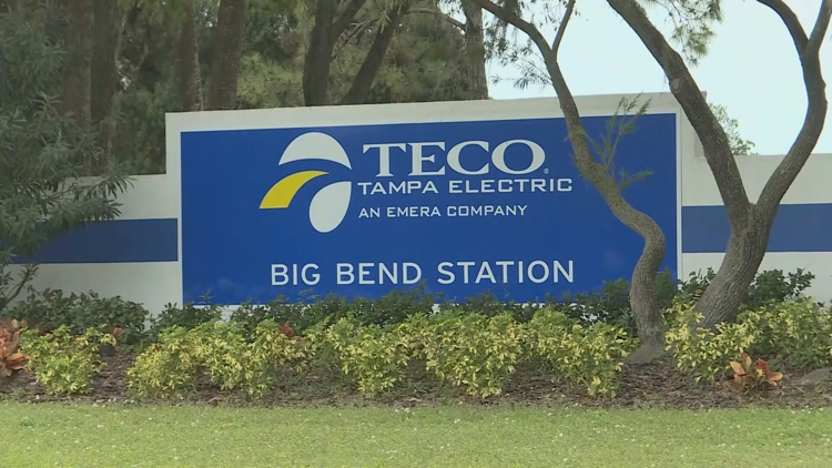  TECO customers to see higher bills in January after rate hike approved 