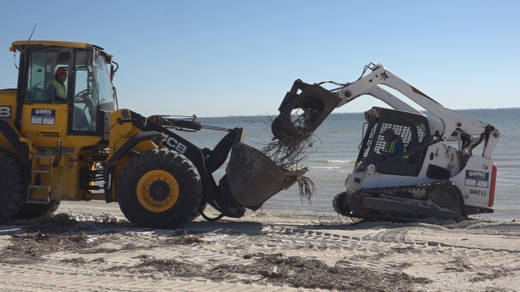  Beach cleanup begins at Fort De Soto Park following recent hurricane events 