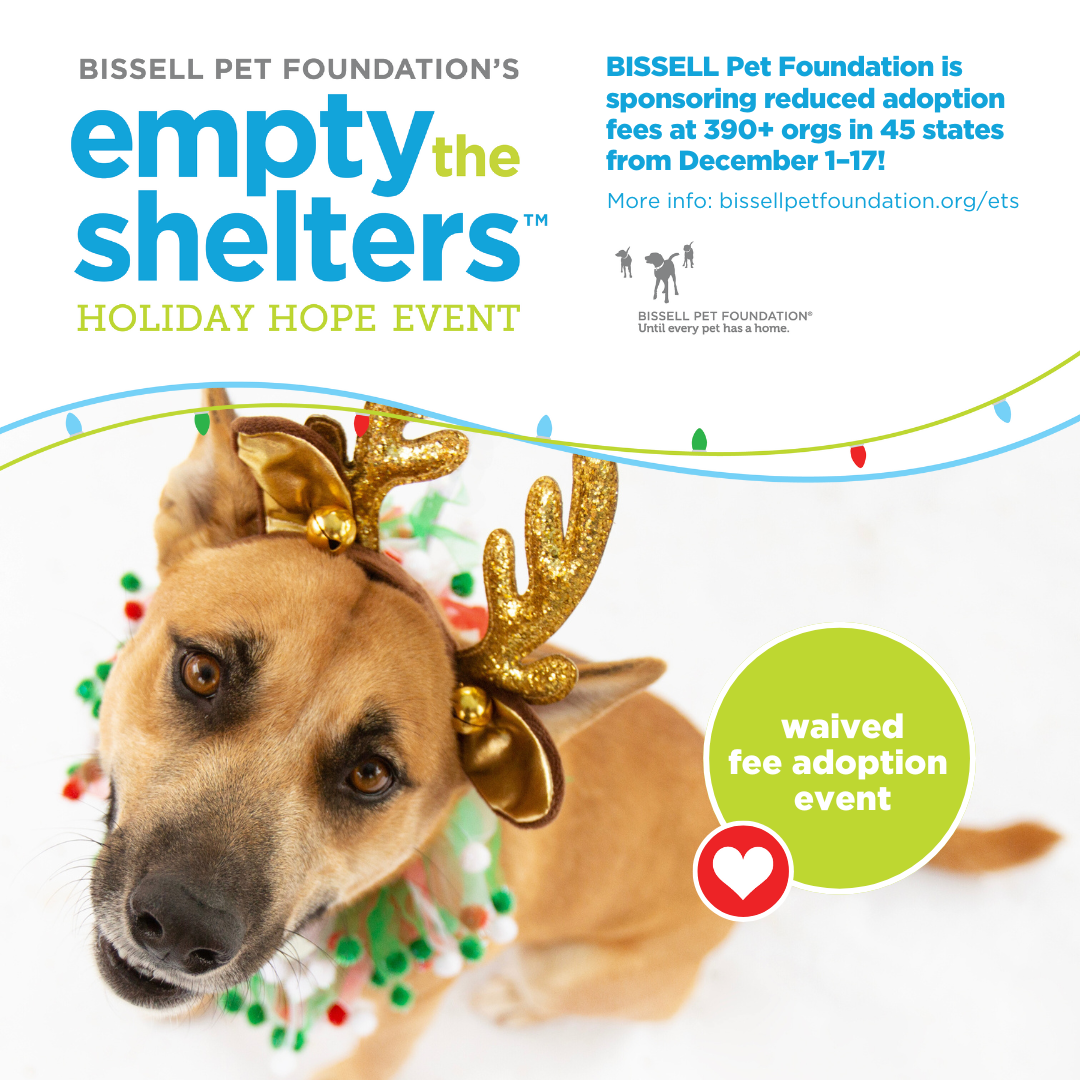  MCACC and BISSELL Pet Foundation Bring Holiday Hope to Shelter Pets 