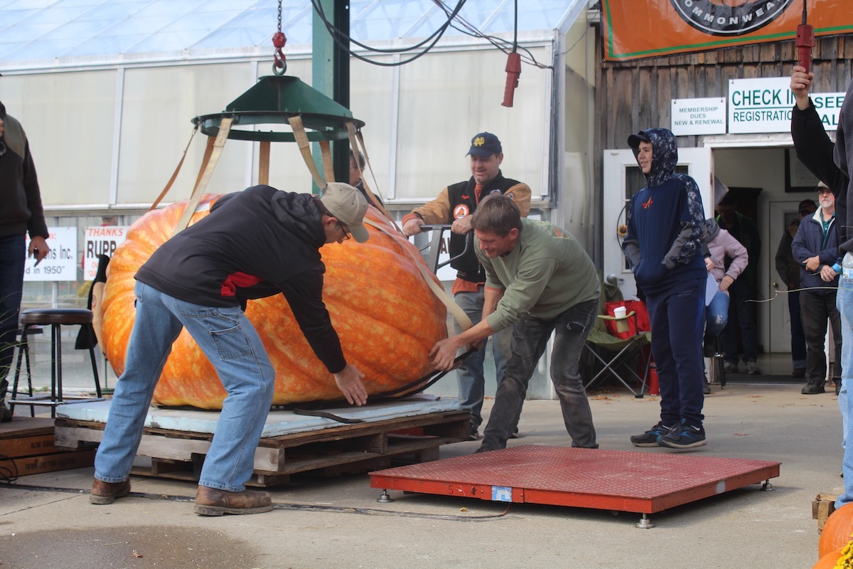   
																Giant pumpkins bring joy, break records at Ohio weigh-off 
															 