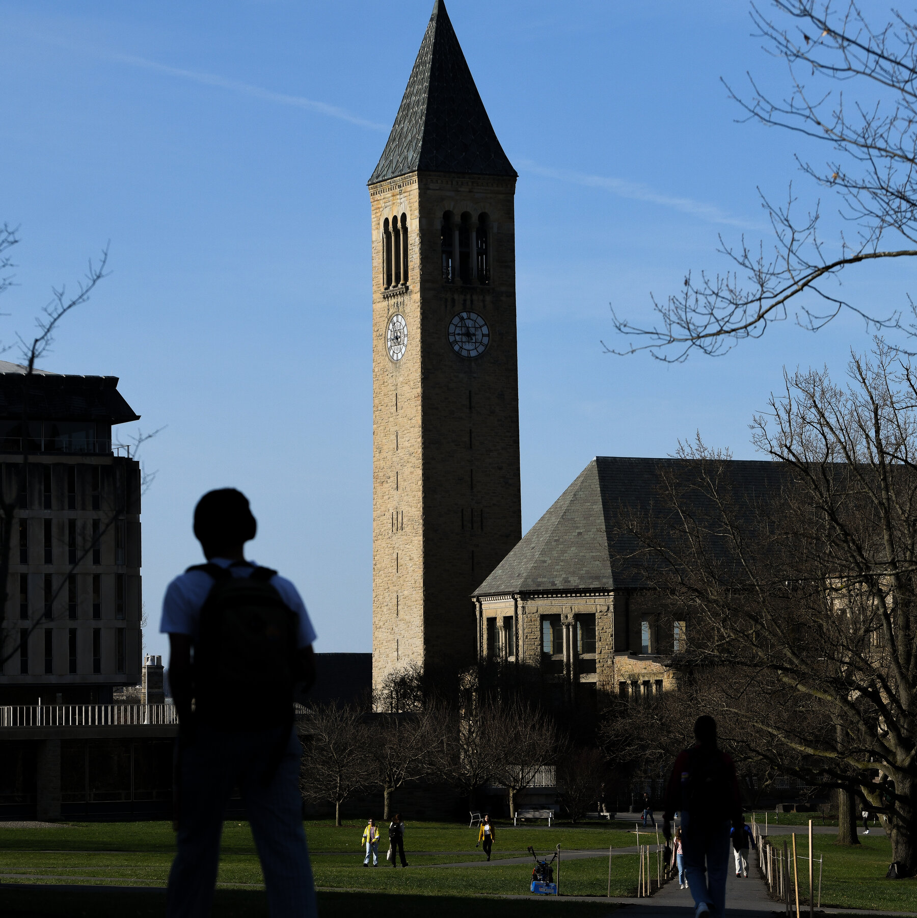  Colleges Warn Foreign Students to Get to Campus Before Trump Takes Office 