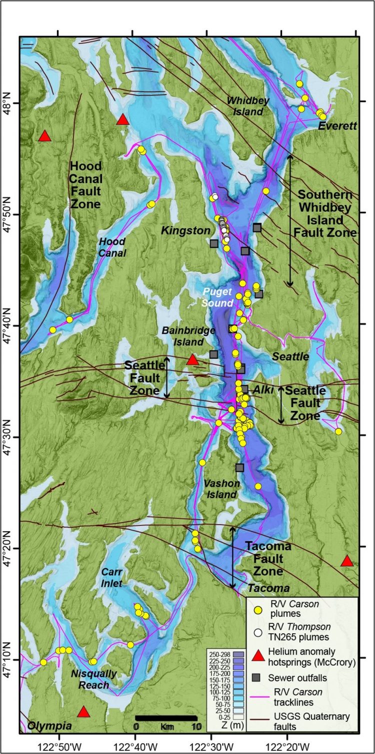  Bubbles of methane rising from seafloor in Puget Sound 