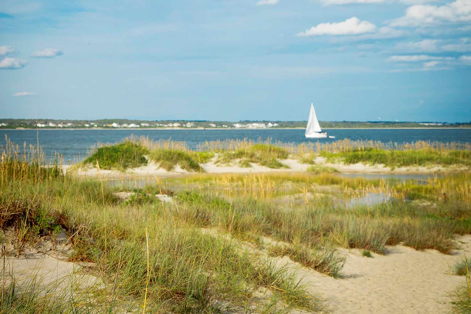   
																This Small Town on North Carolina's 'Crystal Coast' Has Some of the Most Affordable Beach Houses in the U.S. 
															 