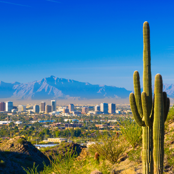  Board Funds Research into Life Expectancy Gap in South Phoenix 