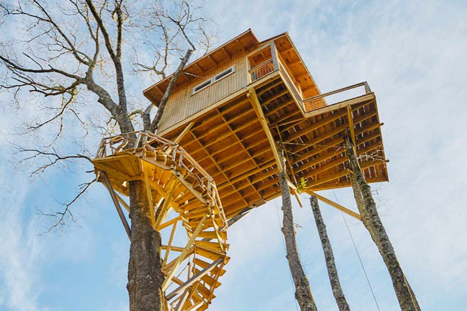  This Whimsical Tree House Airbnb in North Carolina Comes With 40 Acres of Private Land on a Wildlife Reserve 
