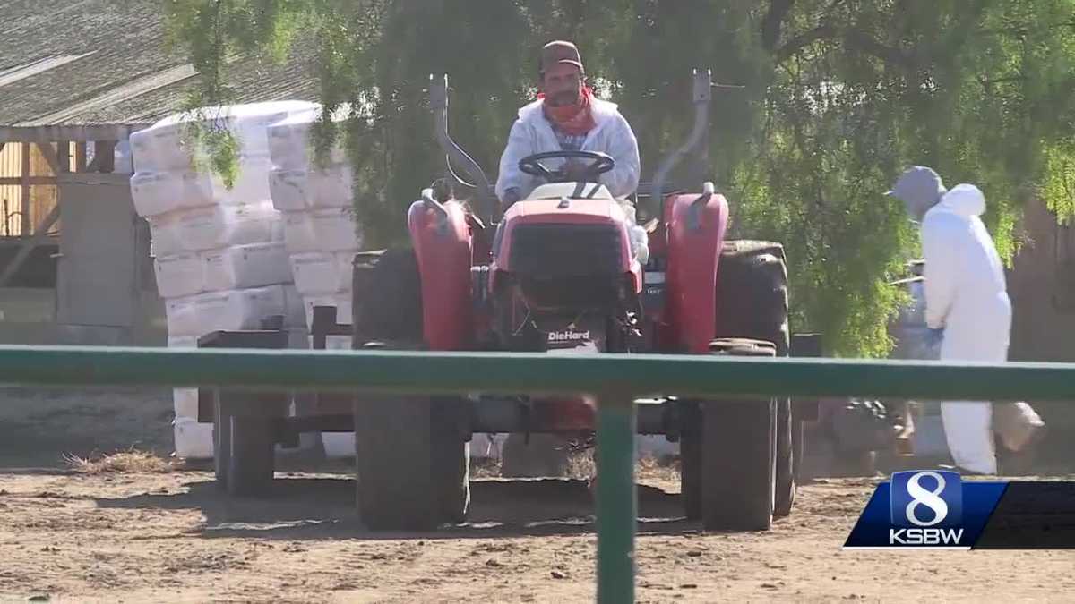  Bird flu devastates CA hatchery: Thousands of ducks, geese, eggs lost 