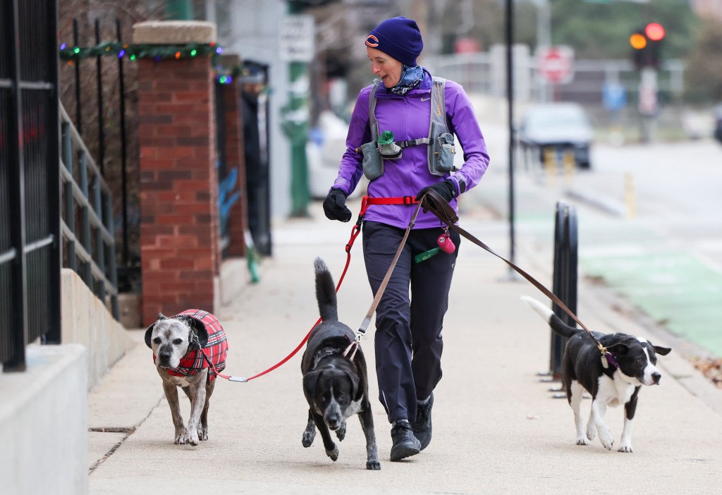  Goodbye and good luck to a good boy: As Dexter the dog moves away, his human pals reflect on puppy friendships 