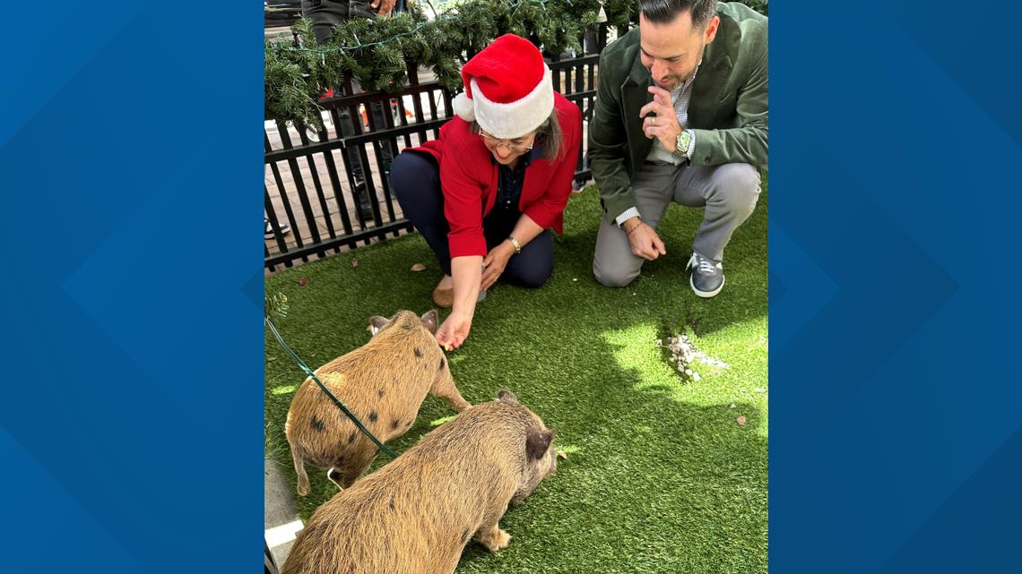  Baby pigs get Christmas pardon from Florida mayor in a Cuban twist on White House turkey tradition 