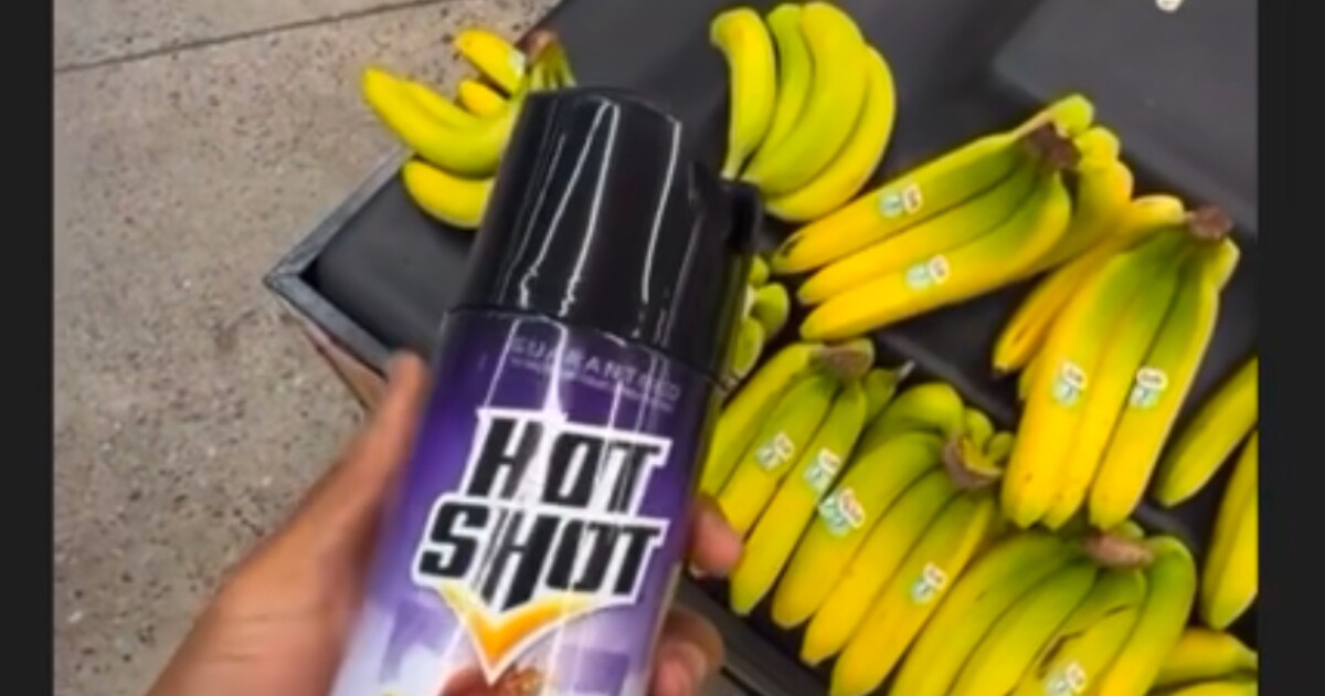   
																Man arrested after posting video online of himself spraying bug killer on Walmart food 
															 