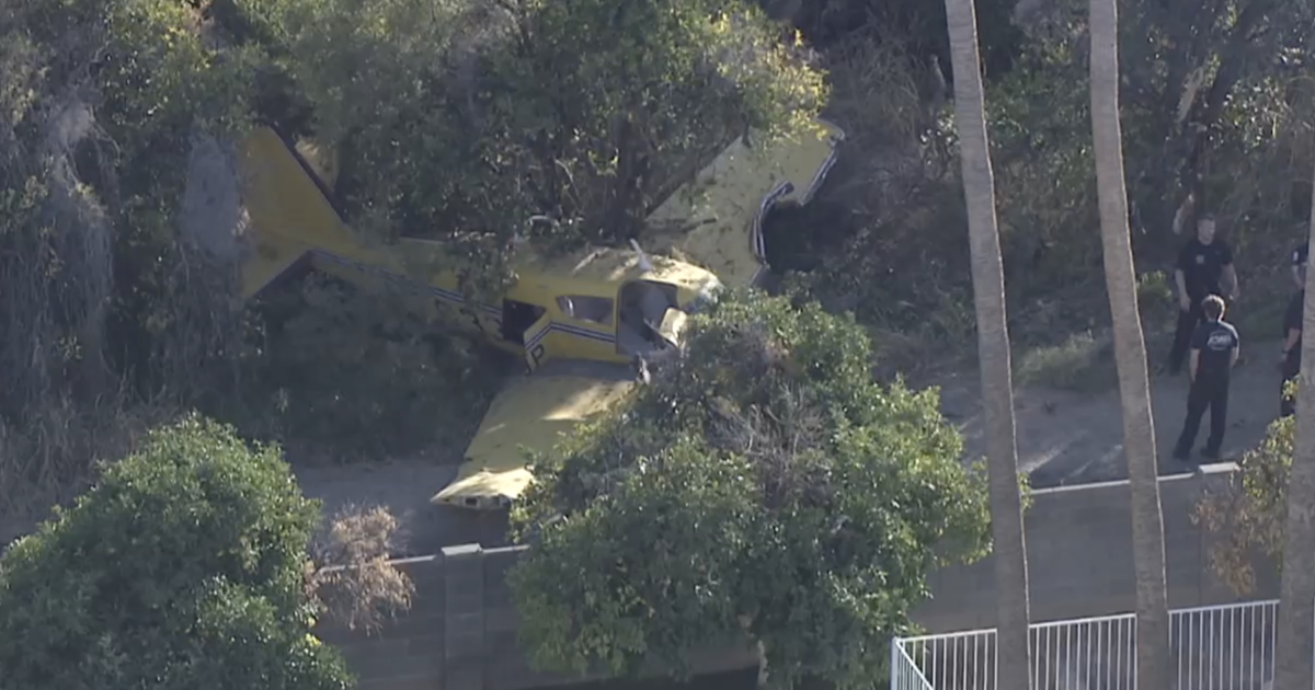  Plane crashes in Mesa orange grove outside Falcon Field, no injuries reported 