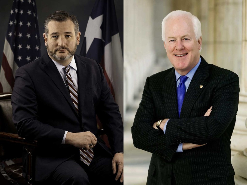  Cornyn, Cruz: Help is on the way for South Texas farmers and ranchers 