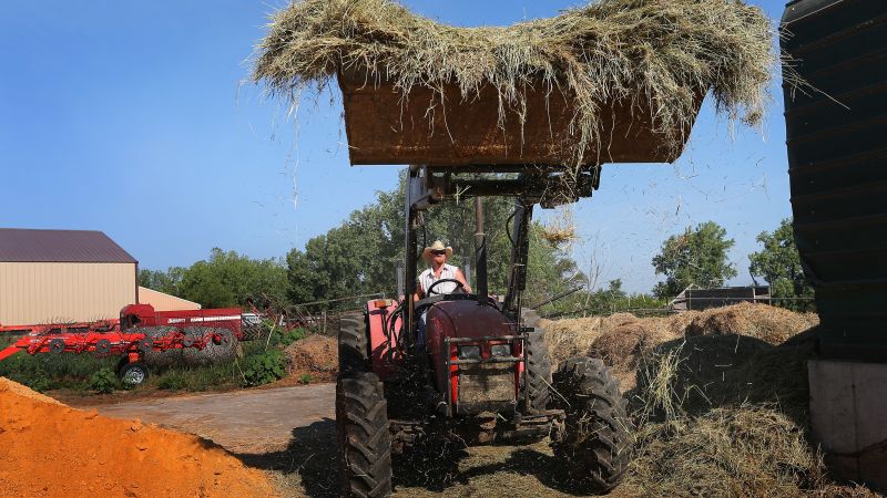  Hay becomes key U.S. commodity 