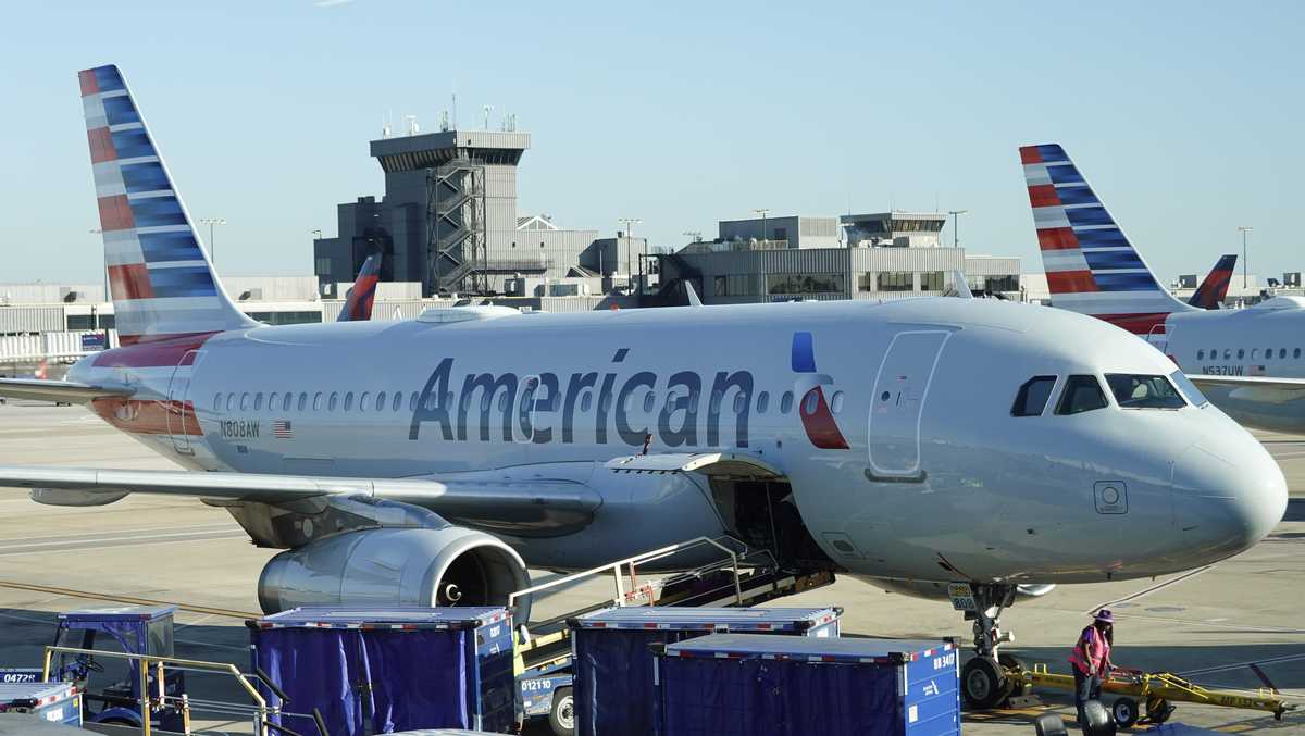   
																Technical glitch grounds American Airlines flights across the US 
															 