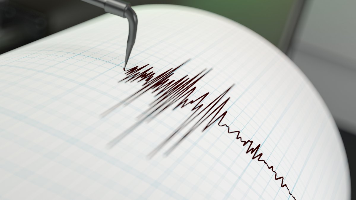  Preliminary 3.0 magnitude earthquake rattles the East Bay 