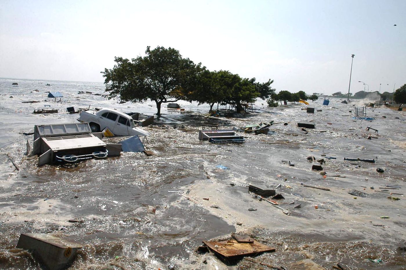  Today in History: December 26, massive earthquake triggers devastating tsunami 