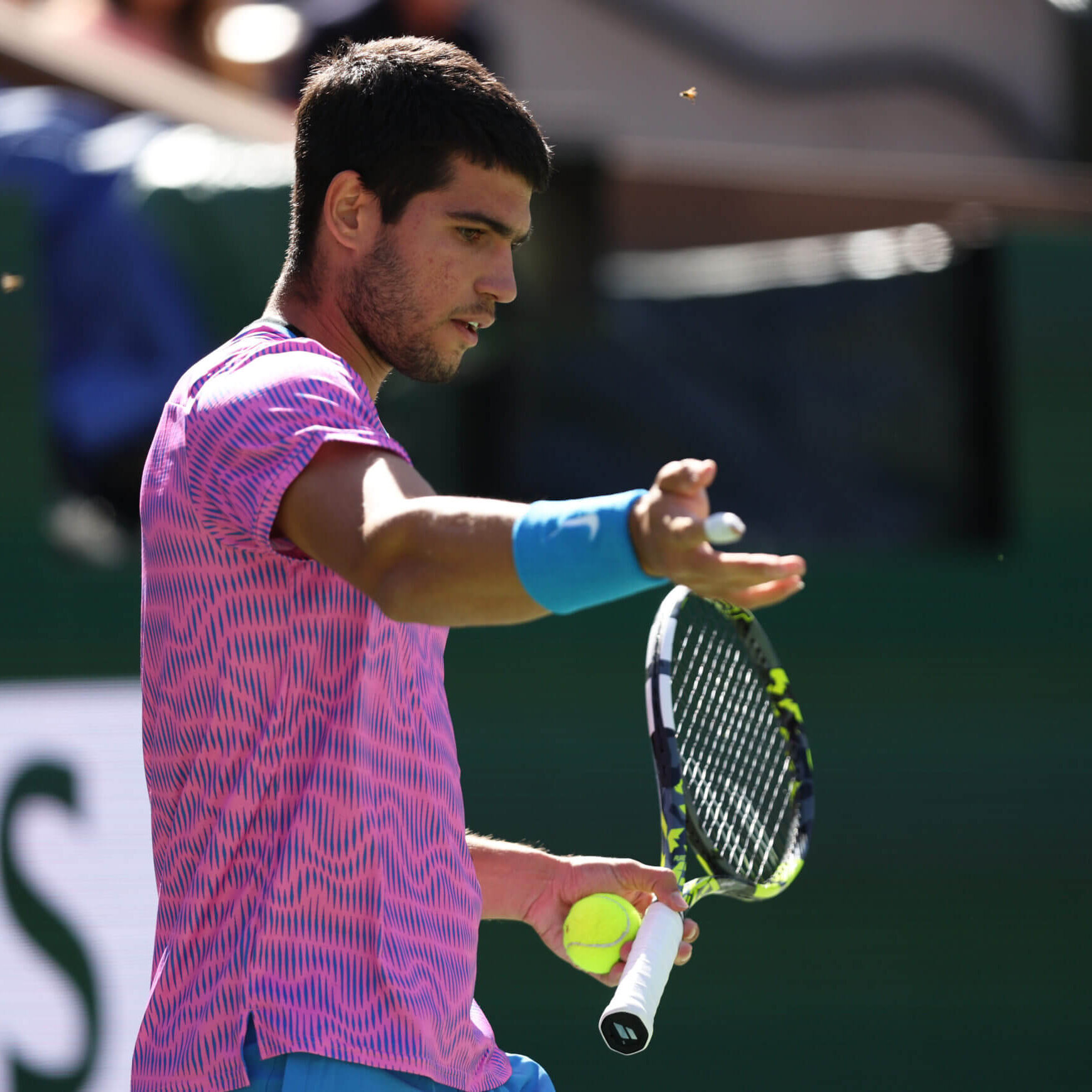  Remember When Bees Invaded a Tennis Court in the Desert? 