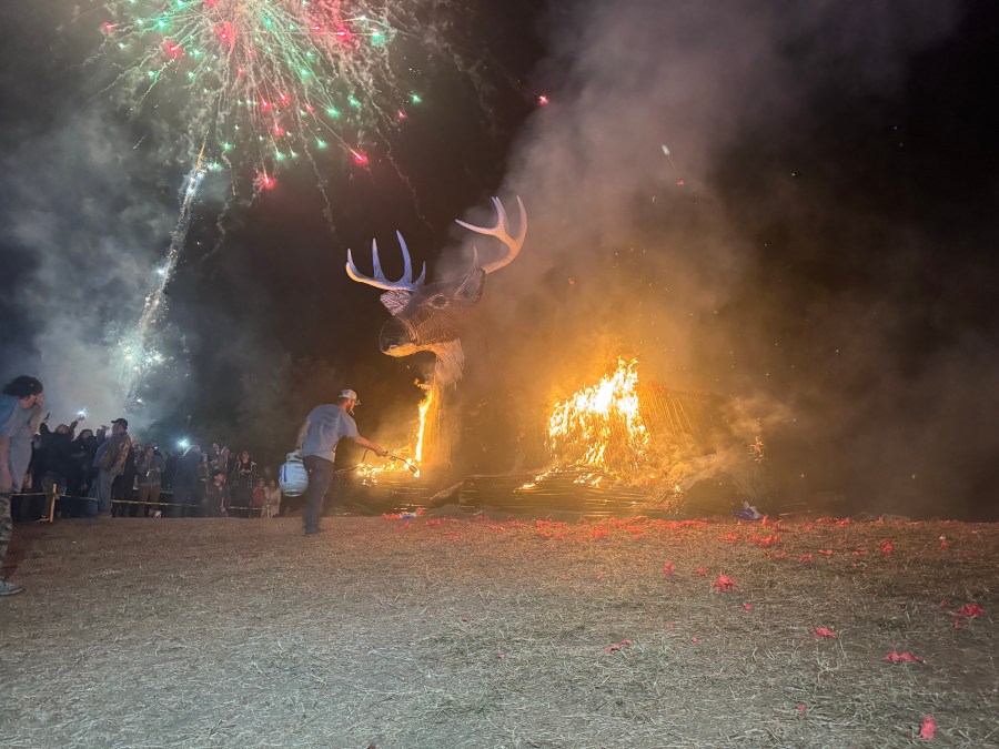  15-foot reindeer takes over River Parish bonfire celebration 