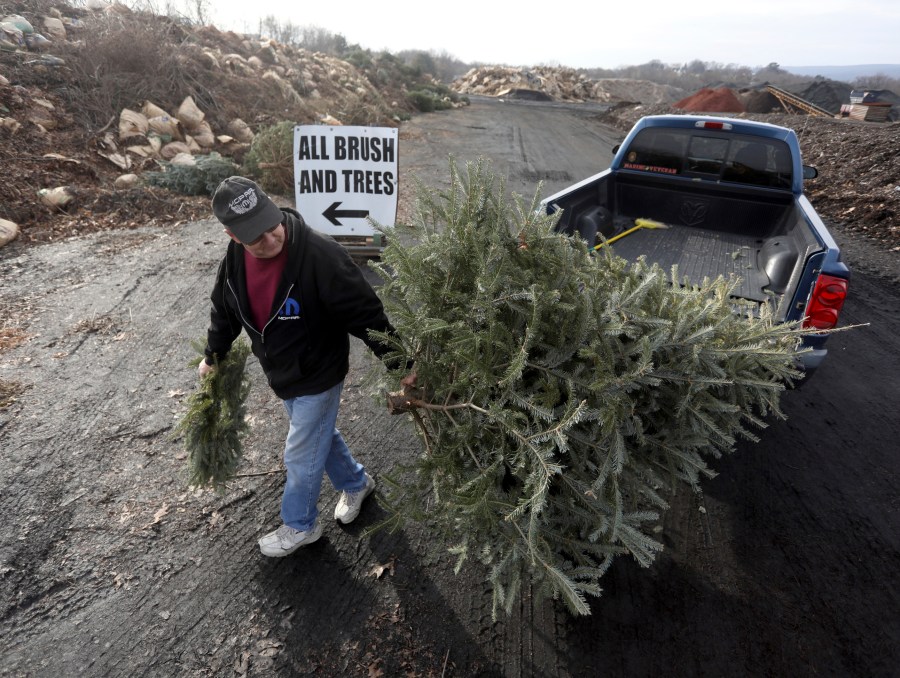  Recycle your Christmas Tree at these locations throughout Kern County 