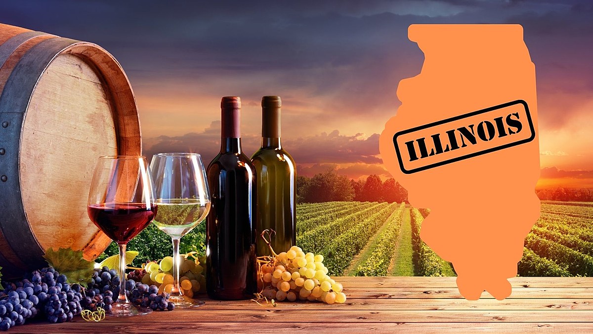  Summer Day Trip Idea: 5 Wineries An Hour Or Less From Rockford 