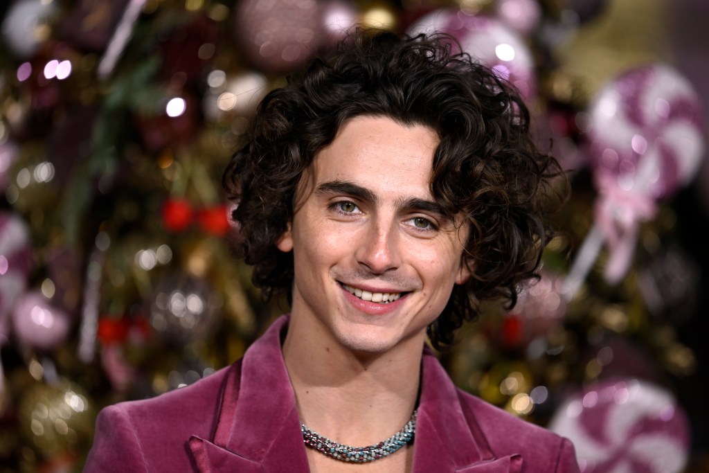   
																Horoscopes Dec. 27, 2024: Timothee Chalamet, calling the shots and managing your life is up to you 
															 