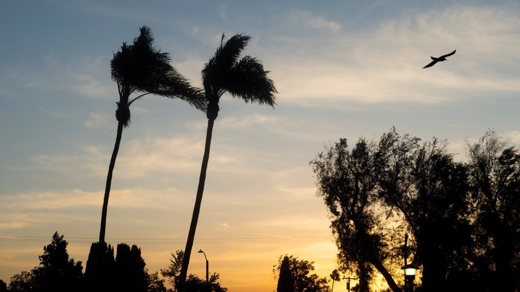  Santa Ana winds raise fire danger in LA-area mountain areas 