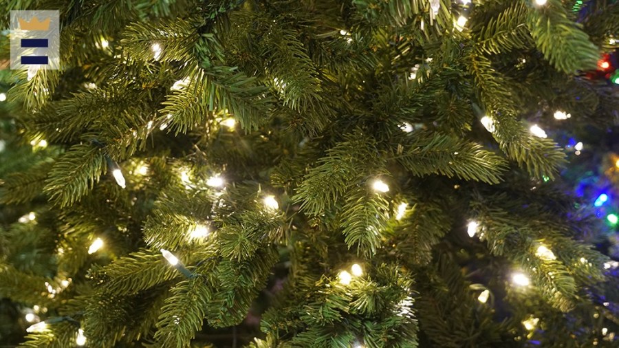  How to recycle your Christmas tree in Multnomah County 