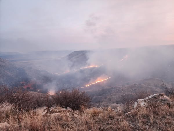  TAMU Forest Service responded to 4,458 wildfires across Texas in 2024 