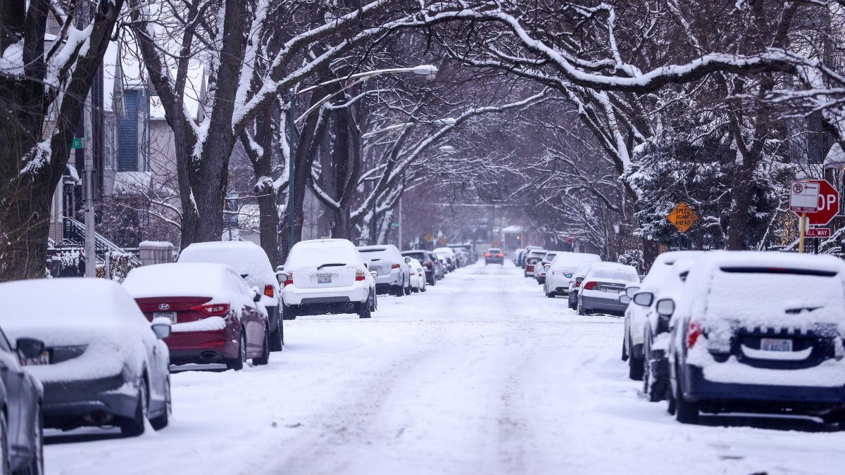  Weekend winter storm threatens Illinois with heavy snow, ice, ‘dangerous travel conditions' 